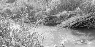 Investiga Fiscalía hallazgo de cuerpo en inmediaciones del Río Atoyac