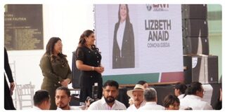 ¿ Quién ordenó gritar Traidora a la diputada Liz Concha?