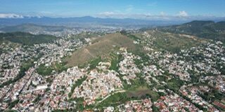 Apoyemos a Sheinbaum; reforestemos San Felipe, El Crestón, El Fortín y Monte Albán