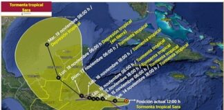 Protección Civil informa sobre la formación de la tormenta tropical “Sara”