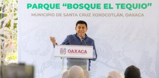 Destinan más de 50 mdp para la rehabilitación y dignificación del Bosque “El Tequio”