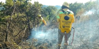 Capacitó Semovi a cerca de 10 mil personas concesionarias y operadoras del transporte público durante 2024