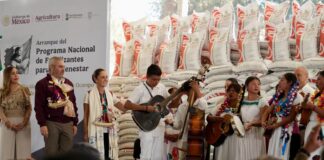 Sheinbaum encabeza entrega del programa de fertilizantes para el Bienestar