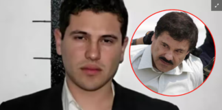 La orgía de sangre que viene por la traición de narcos, gobiernos, militares y policías, y serán ejecutados