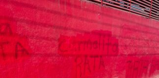 Pintas en el PRI contra Carmelita Ricardez Vela