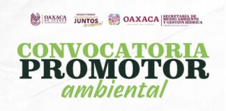 Busca el Municipio de Oaxaca de Juárez a Promotores Ambientales