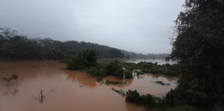 Provocan lluvias inundaciones y desbordamiento del río Uxpanapa en Santa María Chimalapa: Protección Civil