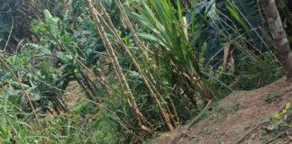 San Isidro Platanillo entre las amenazas de un grupo armado y tibieza oficial