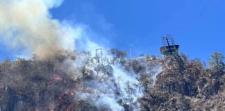 Atiende Coesfo reporte de incendio forestal en Ixtlán de Juárez