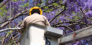 El Municipio de Oaxaca de Juárez impulsa acciones de embellecimiento, limpieza e iluminación en diversas zonas de la ciudad