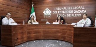 Crisis en Nueva Alianza Oaxaca, TEEO acusó violencia política contra Adriana Altamirano Rosales