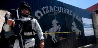 ¿Cuánto cuesta encontrar a los desaparecidos?