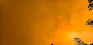 Tres vidas pérdidas en 79 incendios forestales