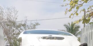 Un niño de 8 años de edad fue atacado por un cocodrilo en una laguna del Ciruelo en Pinotepa Nacional