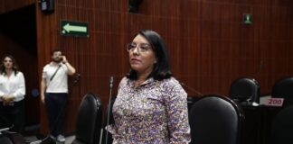Legislatura federal guardó un minuto de silencio en honor a la activista mixe Sandra Estefana Domínguez