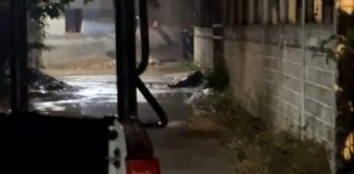 Asesinan a una mujer de un disparo en la cabeza en la Novena Sección