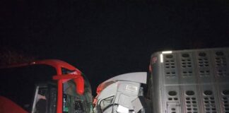 Choque frontal entre autobús ADO y tráiler deja conductor prensado en “Palo Gacho”