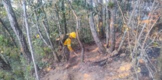 Controlado al 100% incendio forestal en San Juan Juquila Mixes: Coesfo