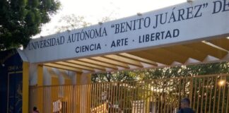 Docentes cierran Ciudad Universitaria, piden destitución de la directora de la Facultad de Derecho