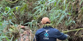 Integran binomio canino a las labores de búsqueda de un menor en la Sierra Mixe