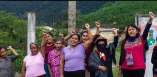 Confirman Misión de Observación Civil violaciones graves a derechos humanos y ecocidio en Eloxochitlán