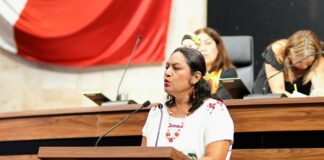Caso Pijy: Diputada exige investigar a juez y ministerio público por presunta negligencia