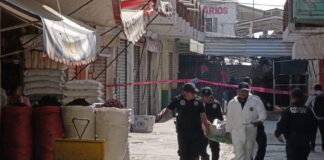 El robo de un celular, móvil de la ejecución de “El Rubio” en la Central de Abasto