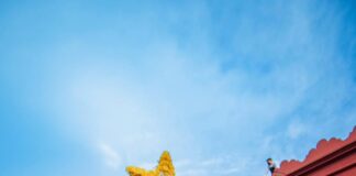 Oaxaca de Juárez celebra el Primer Encuentro de Chinas Oaxaqueñas, Marmoteros y Faroleros