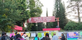 Crisis en el COBAO: denuncias de abuso de poder y nepotismo detonan protesta en pleno inicio del ciclo escolar