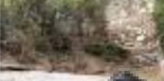 Hallan sin vida en Nochixtlán a taxista de Etla desaparecido