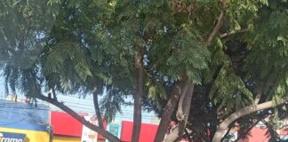 Asesinan a mototaxista; lo atacan a puñaladas