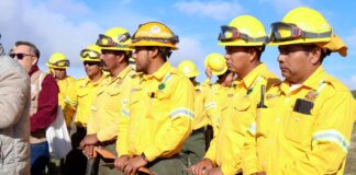 Realiza Primavera Oaxaqueña Mega Tequio de Reforestación en Coixtlahuaca