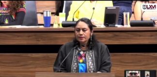 Diputada exige ampliar la investigación por la desaparición de Erick Jair Pérez Limón