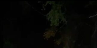 Localizan el cuerpo del niño de 3 años desaparecido tras la volcadura de tortón sobre caudal de río en Valdeflores Colotepec