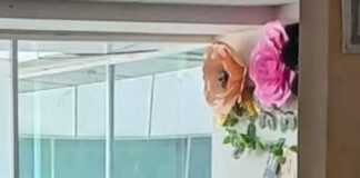 Diputada Daniela Taurino reclama su base laboral