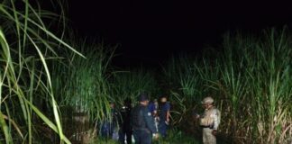 Localizan fuerzas de seguridad toma clandestina de combustible en Acatlán de Pérez Figueroa