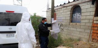 Investigan muerte de perro atacado con cuchillo en San Martín Mexicapan