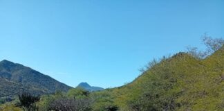 Dos jóvenes ejecutados en camino rural de Totolapam