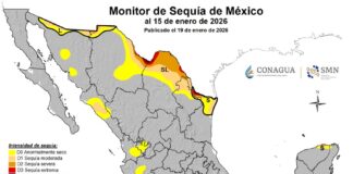 Libres de sequía, más de dos mil municipios en 13 estados de la República Mexicana