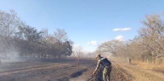 Personal Naval brinda apoyo en la sofocación de un incendio, en Salina Cruz