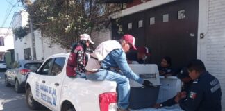 Rescatan a perro abandonado en Santa Lucía del Camino tras denuncia en redes