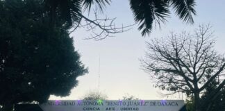 Otra vez bloquean operaciones en la UABJO