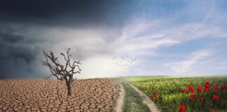 ¿Luchar contra el cambio climático pone en riesgo la economía?