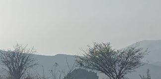 Muere motociclista tras choque en la Mitla–Tehuantepec; cierran circulación en Matatlán