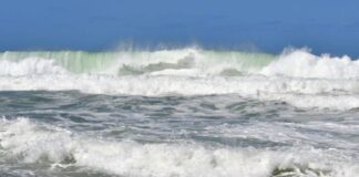 Alerta por mar de fondo en la costa de Oaxaca; prevén oleaje de hasta 5 metros