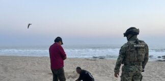 Marina resguarda más de 2 mil huevos de tortuga golfina en playa Escobilla