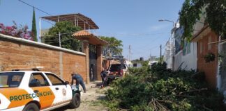 Continúan trabajos de atención y monitoreo en Oaxaca de Juárez tras lluvias