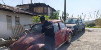 ¡Acción en territorio sin descanso!