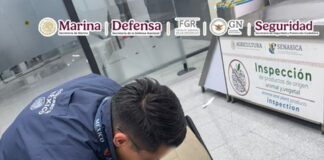 Cae pasajero con cocaína oculta en silla de ruedas en el AICM