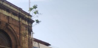Exigen destitución de funcionaria de Salud hermana del diputado Benjamín Viveros
